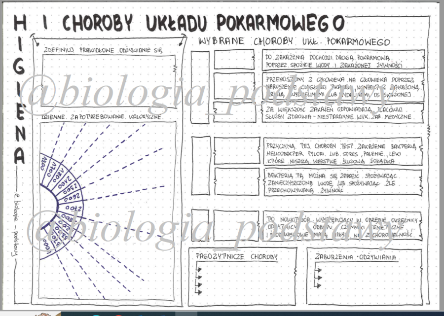 Klasa 7 - Higiena i choroby układu pokarmowego - sketchnotka