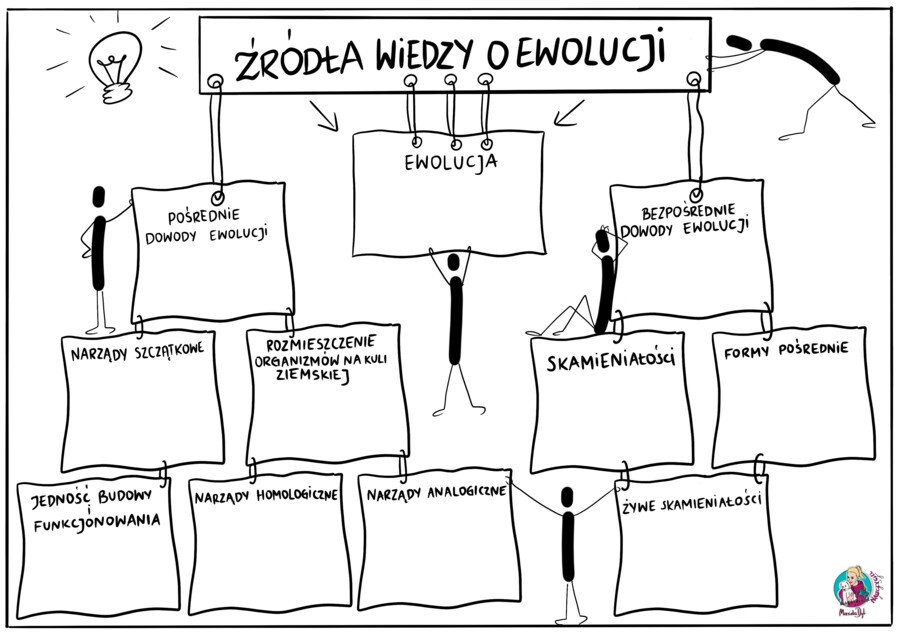 Ewolucja - źródła wiedzy - kl. 8 karta pracy