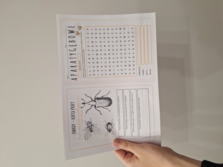 Owady - nowoczesna karta pracy