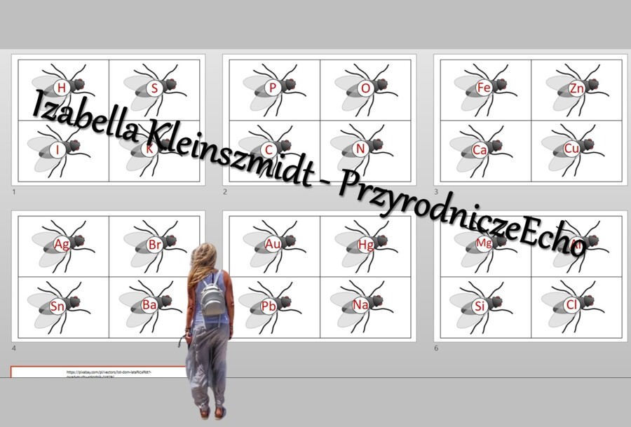 Gra "Muchy" - symbole pierwiastków. Chemia 7 i 8. Do zalaminowania w power point.