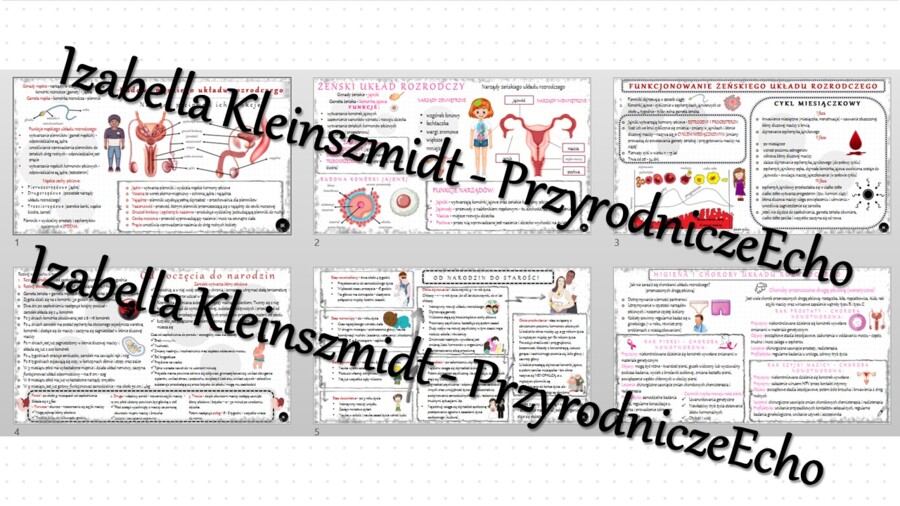 Zestaw sketchnotek – notatek do całego działu „Rozmnażanie i rozwój człowieka” wykonanych w power point do edycji. Biologia 7