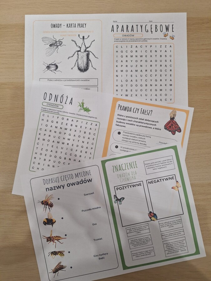 Owady - nowoczesna karta pracy