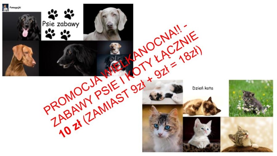 ?Wielkanocna promocja - Zabawy psie i kocie 10 zł