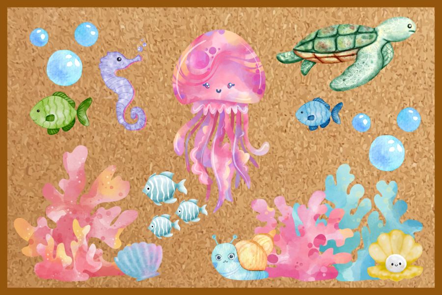 Świat podwodny🌊🐬