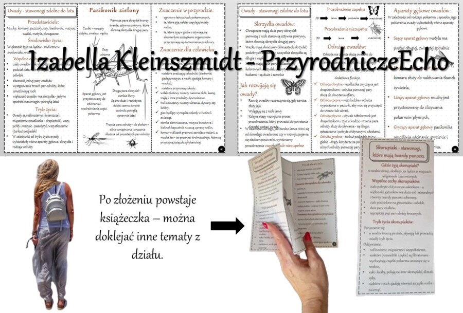 Broszurka/notatka/sketchnotka/wklejka/ściąga dla ucznia/przypomnienie dla nauczyciela w pdf. Biologia 6 „Stawonogi i mięczaki” – „Owady-stawonogi zdolne do lotu”.