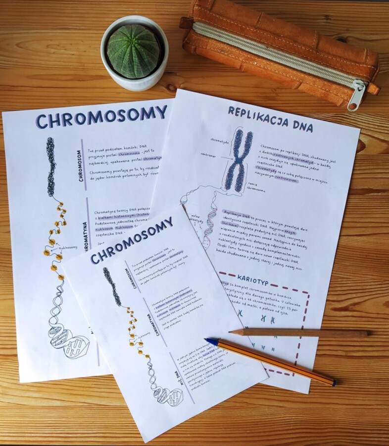 Chromosomy - sketchnotka - wklejka | Biologia | klasa 8