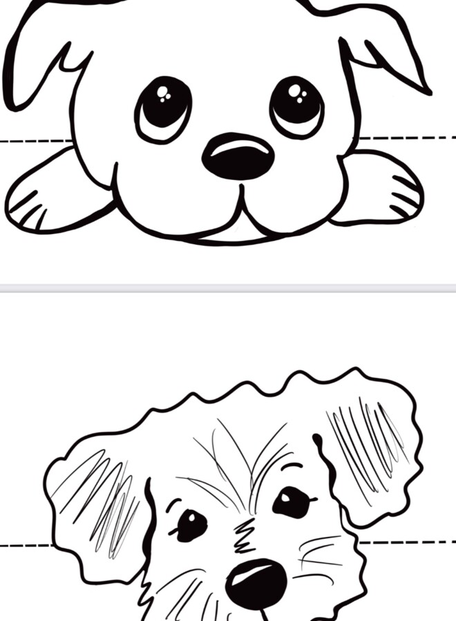 Dzień Kundelka - plakat, opaski