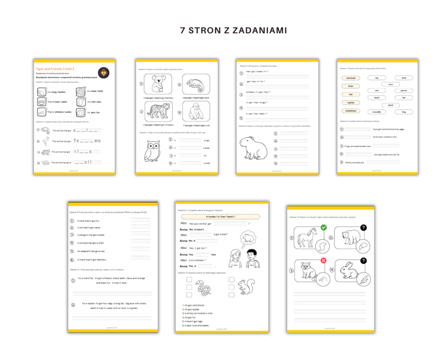 Tiger and Friends Klasa 3 Unit 2 Nazwy części ciała Opis zwierzat Dodatkowe Ćwiczenia Karty Pracy