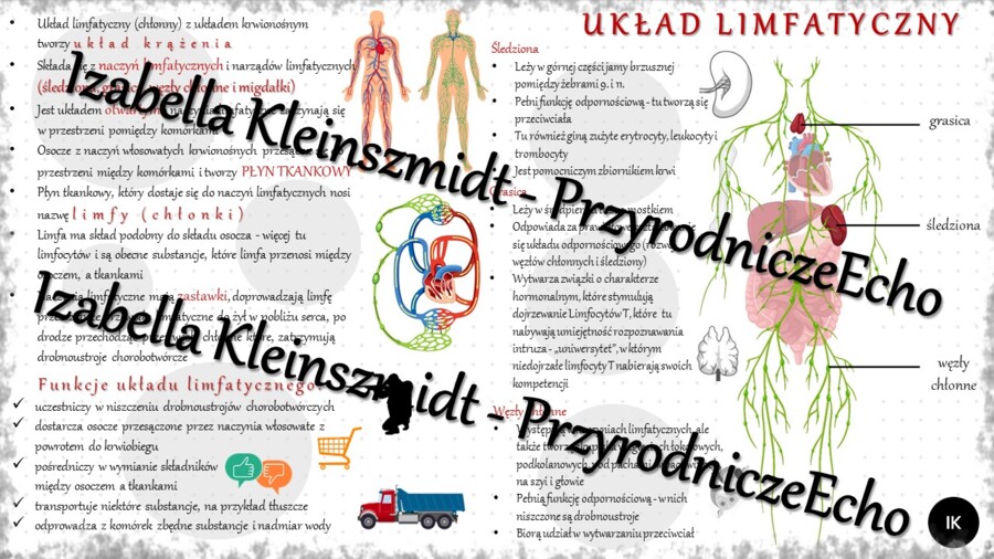 Sketchnotka - notatka „Układ limfatyczny” wykonana w power point do edycji. Biologia 7; „Układ krążenia”