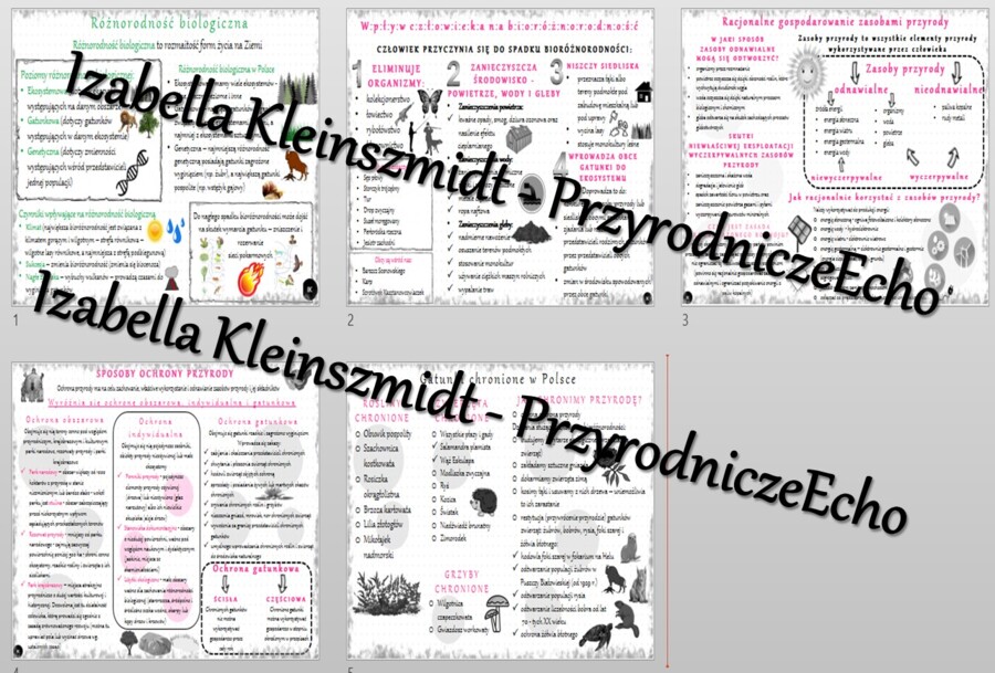 Zestaw sketchnotek – notatek do całego działu „Człowiek i środowisko” wykonanych w power point do edycji. Biologia 8