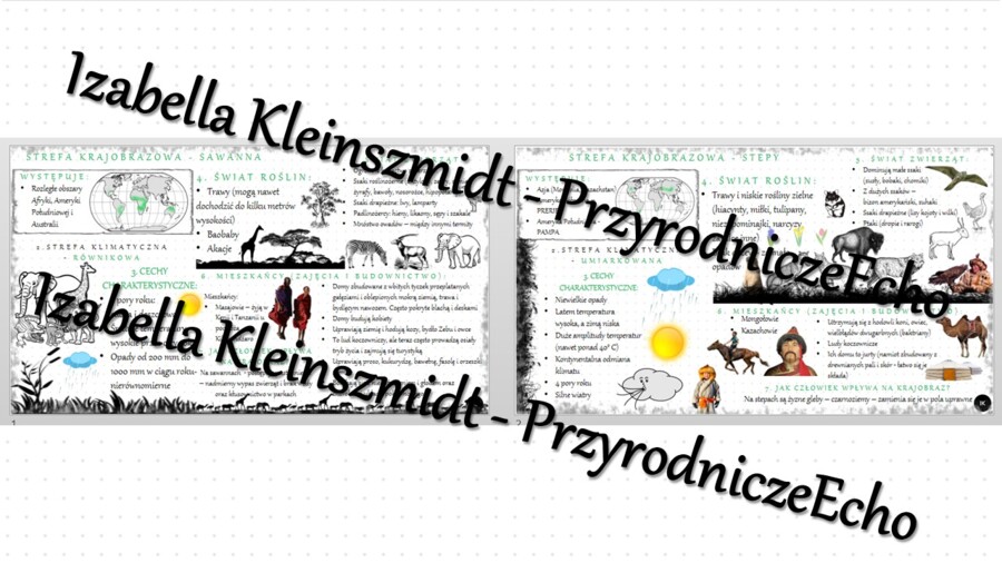 Sketchnotka - notatka „W krajobrazach trawiastych sawanny i stepu” wykonana w power point do edycji. Geografia 5; „Krajobrazy świata”