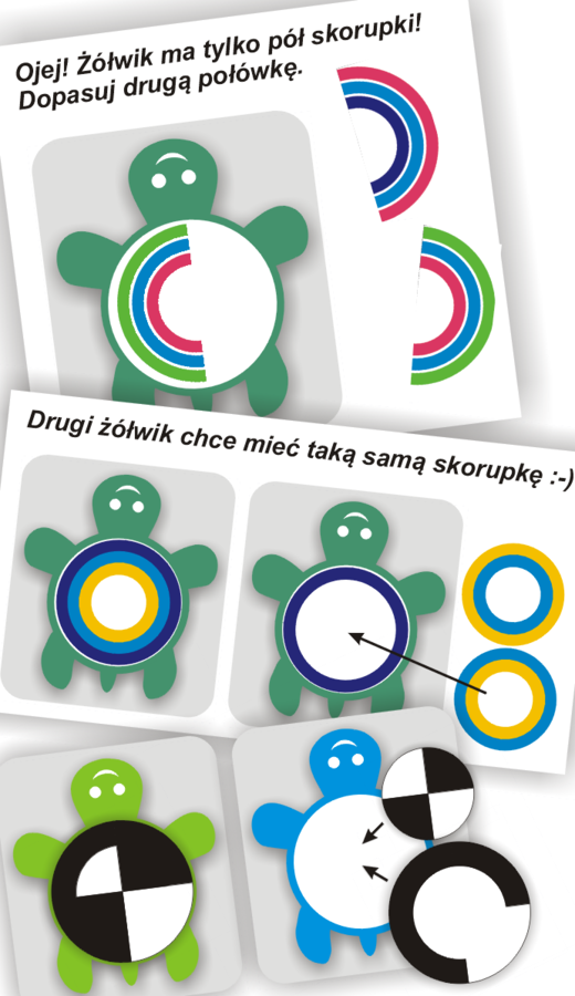 Żółwie trenują funkcje wzrokowe