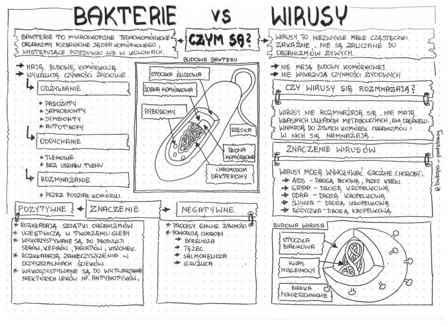 Klasa 5 - Bakterie i wirusy - pakiet
