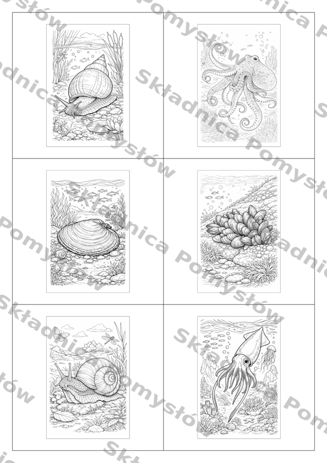 MIĘCZAKI – kolorowanki A4 (6 gatunków) + miniatury - biologia (ślimaki, małże, głowonogi)