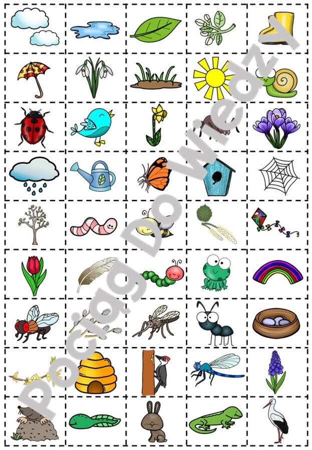 Wiosna - Gra Terenowa