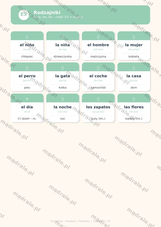 FISZKI "JĘZYK HISZPAŃSKI – ROZDZIAŁ 1: PODSTAWY" KARTA PRACY