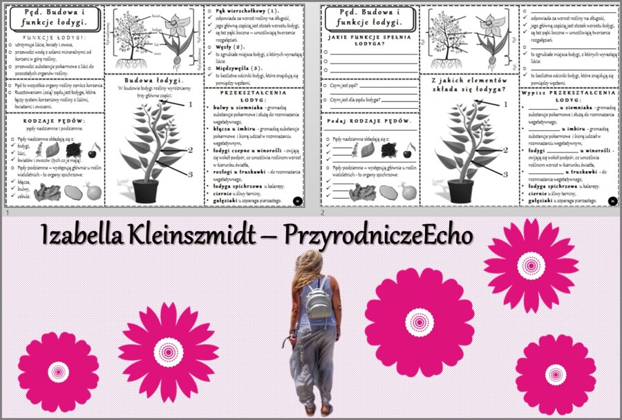 Minizestaw do tematu „Pęd. Budowa i funkcje łodygi” – sketchnotka + karta pracy w pdf + gratisowy link do prezentacji multimedialnej niekomercyjnej wykonanej w genial.ly do indywidualnego pobrania i użycia do celów niekomercyjnych. Biologia 5, Dział „Tka