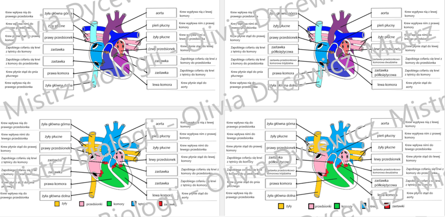 Serce - okienkowa notatka