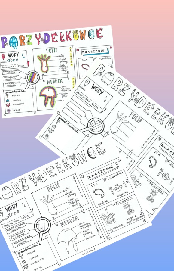 Parzydełkowce - klasa 6