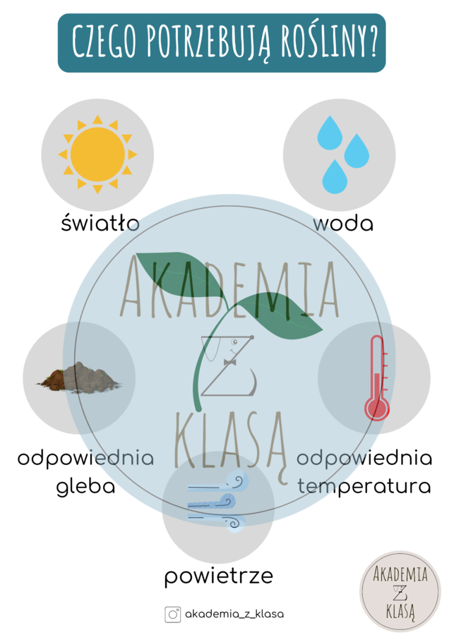 CZEGO POTRZEBUJĄ DO ŻYCIA ROŚLINY? - plansza edukacyjna i karty pracy dla ucznia