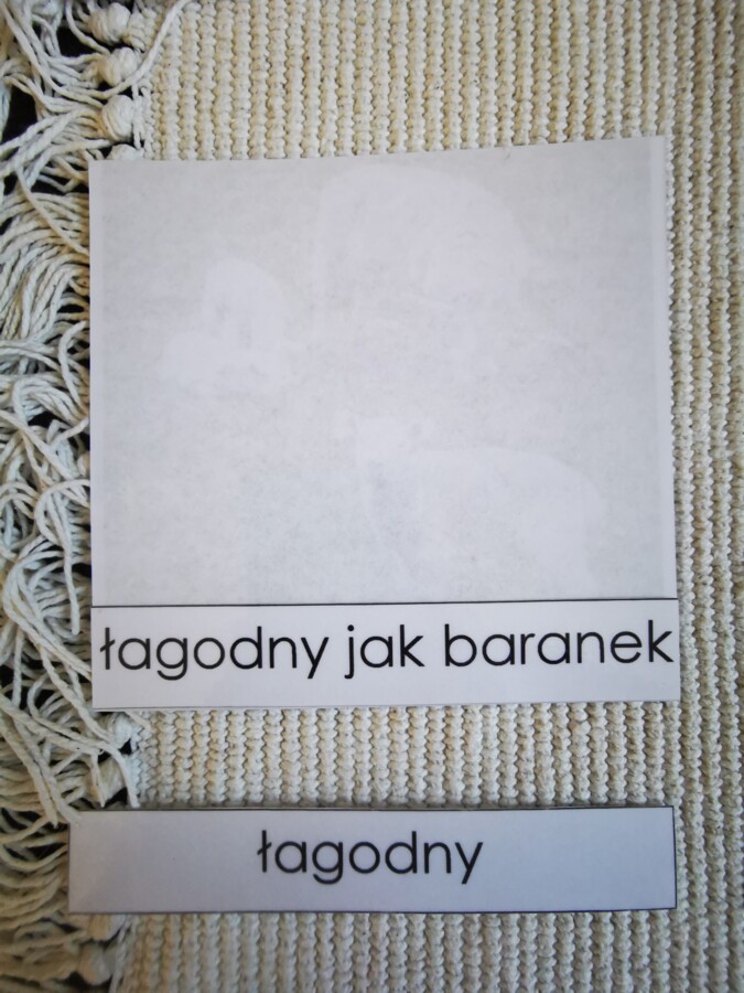 Zwierzęta - porównania - MDJO - bajki - karty montessori