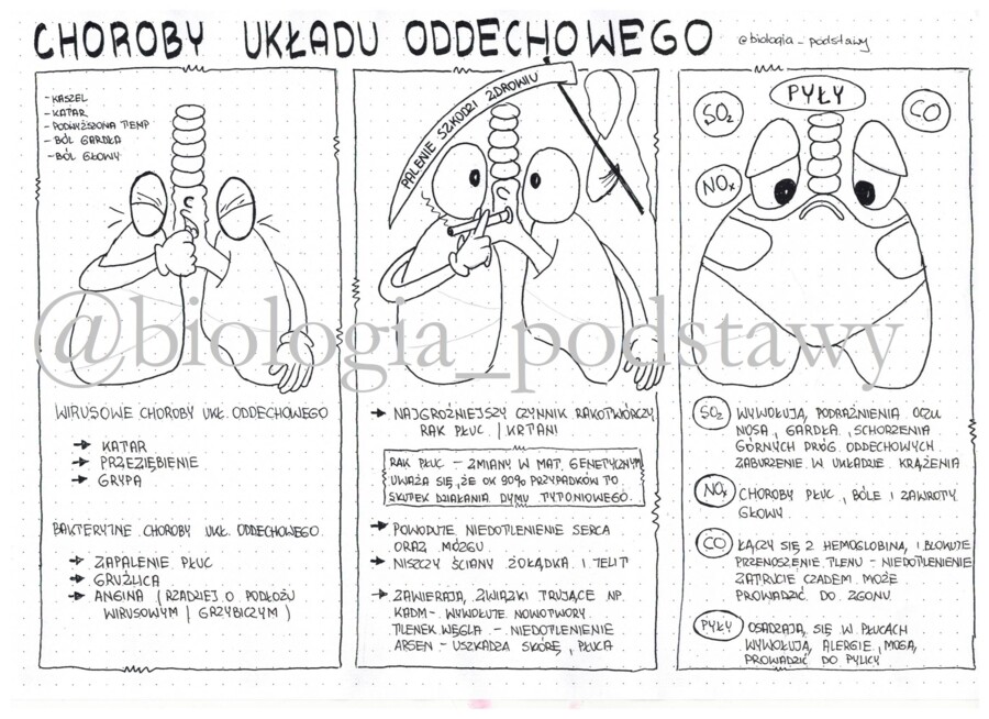 Klasa 7 - Choroby układu oddechowego