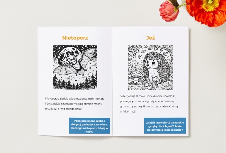 Kolorowanki z elementami edukacyjnymi. Zwierzęta. Ciekawostki. Rola zwierząt w ekosystemie