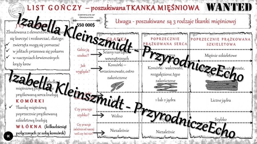 Sketchnotka - notatka „Tkanka mięśniowa” wykonana w power point do edycji. Biologia 6; „Świat zwierząt”