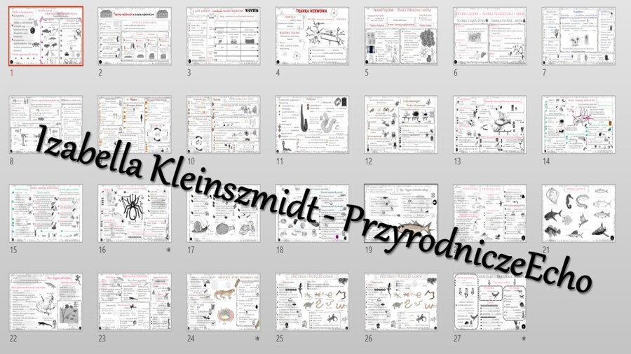 Biologiczne karty pracy dla klasy 6 w formacie pptx. Materiał zawiera 27 kart pracy do samodzielnego uzupełniania