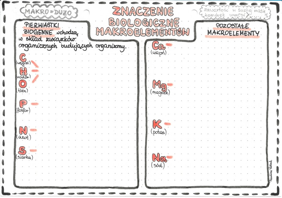 Makroelementy - znaczenie biologiczne