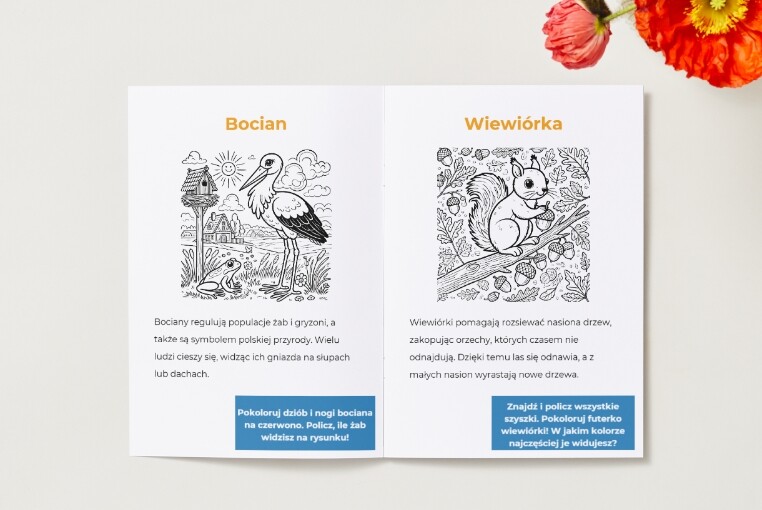 Kolorowanki z elementami edukacyjnymi. Zwierzęta. Ciekawostki. Rola zwierząt w ekosystemie