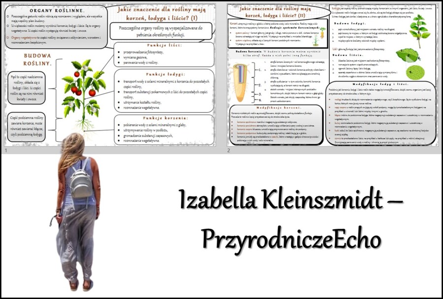 Zestaw sketchnotek/notatek/streszczeń/wklejek/ściąg dla ucznia i nauczyciela w pdf. Biologia 5 dział „Tkanki i organy roślinne”. Notatki zostały wykonane na podstawie podręcznika z wydawnictwa WSiP.