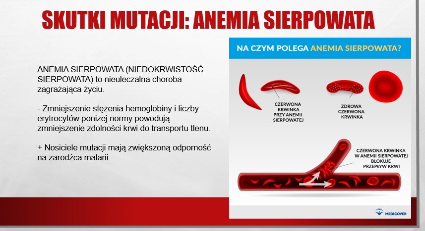 Mutacje (prezentacja multimedialna)