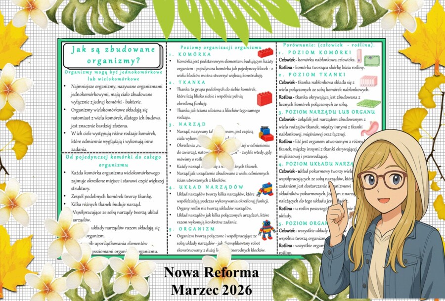 Sketchnotka/notatka - dla ucznia i przypomnienie dla nauczyciela w pdf. Temat " Jak są zbudowane organizmy?". Przyroda 4. "Odkrywam przyrodę" zgodna z wydawnictwem Nowa Era. Dział "Jak działają organizmy?".