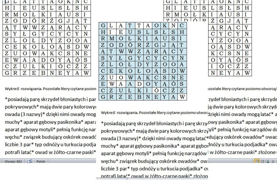 Skrzydlate wyzwanie- gotowa wykreślanka o owadach dla klasy 6