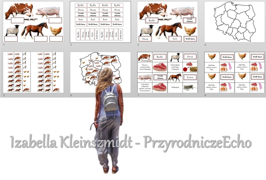 Produkcja zwierzęca w Polsce/do zalaminowana/układanka/puzzle/rozmieszczenie chowu w Polsce/rozpoznawanie gatunków w pdf. „Produkcja zwierzęca”. Geografia 7 "Rolnictwo i przemysł Polski"