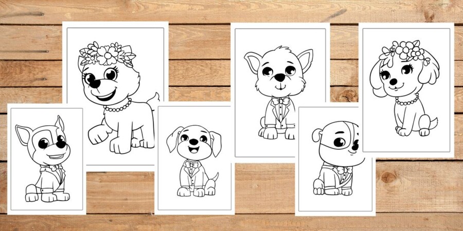 Kolorowanki - Psi Patrol - 6 piesków