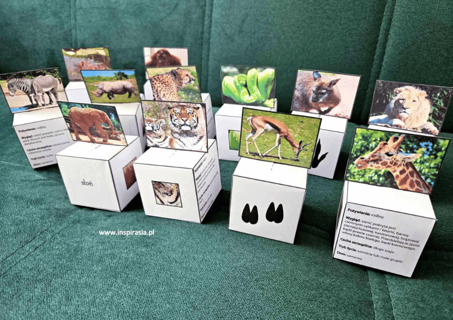 Zwierzęta egzotyczne – kubiki