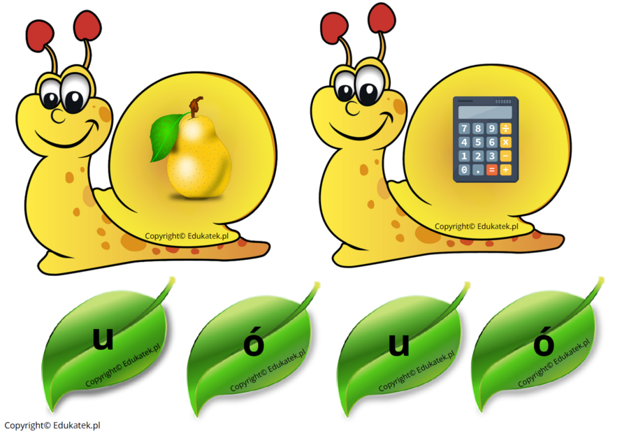 Ortograficzne ślimaki – gra ortograficzna