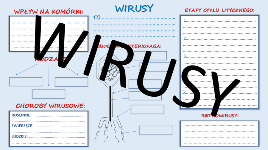 WIRUSY - karta pracy
