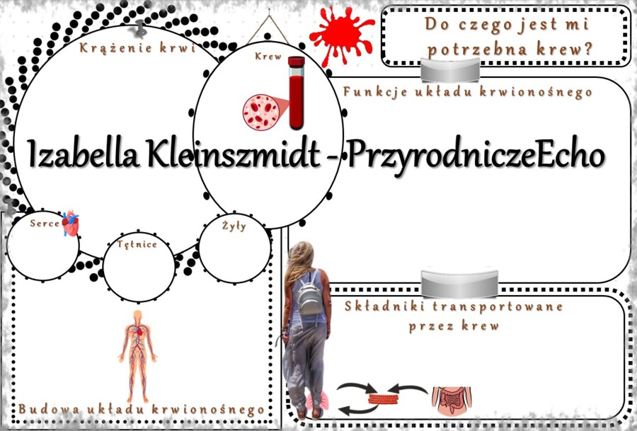 Karta pracy „Do czego jest mi potrzebna krew?” wykonana w power point do edycji. Przyroda 4, „Ja i moje ciało” na podstawie wydawnictwa WSiP