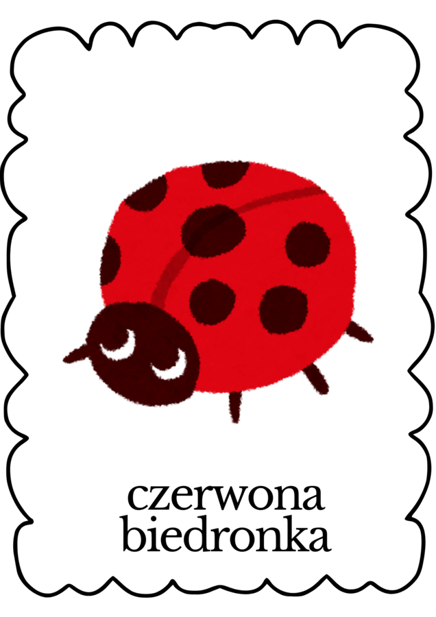 Kolory - karty edukacyjne dla najmłodszych