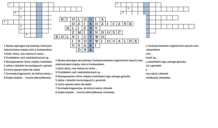 Logogryf na podsumowanie lekcji biologii w klasie 8 "Czym jest genetyka"