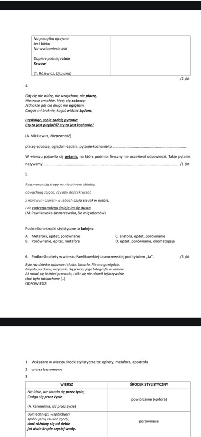 Poezja i środki stylistyczne - sprawdzian