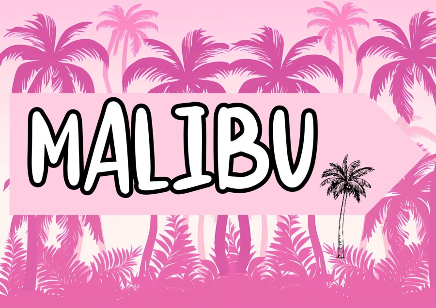 DZIEŃ DZIEWCZYNY W STYLU BARBIE - I TROCHĘ KENA