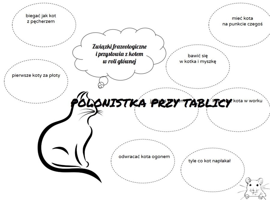 Kot związki frazeologiczne DZIEŃ KOTA