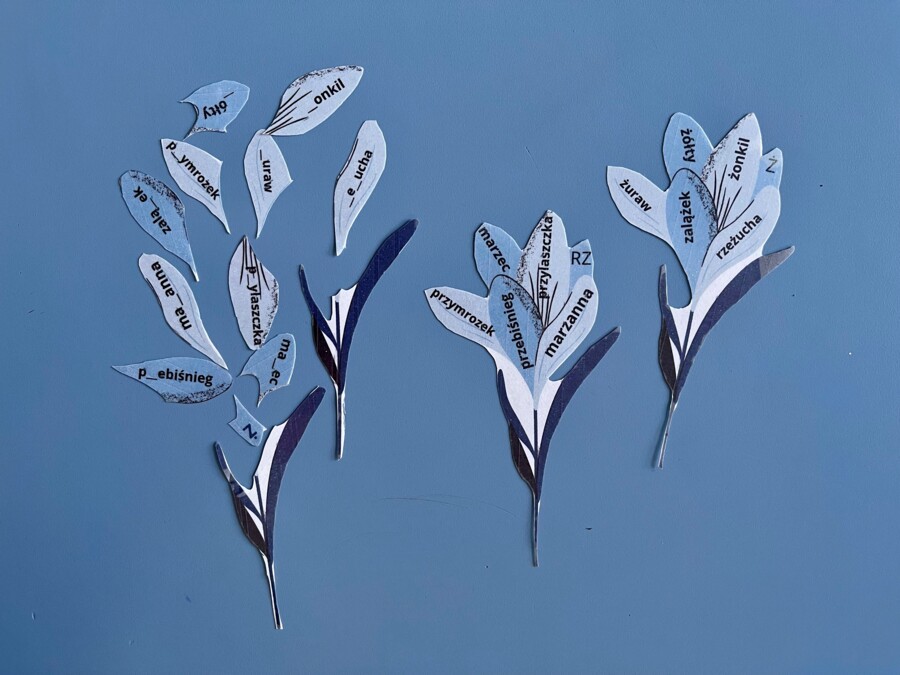 Wiosna, kwiaty, ortografia - puzzle