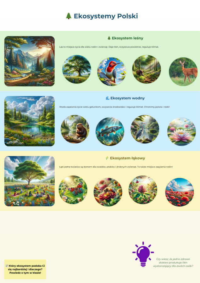 Plansze edukacyjne. Zwierzęta i rośliny chronione. Ekosystemy.