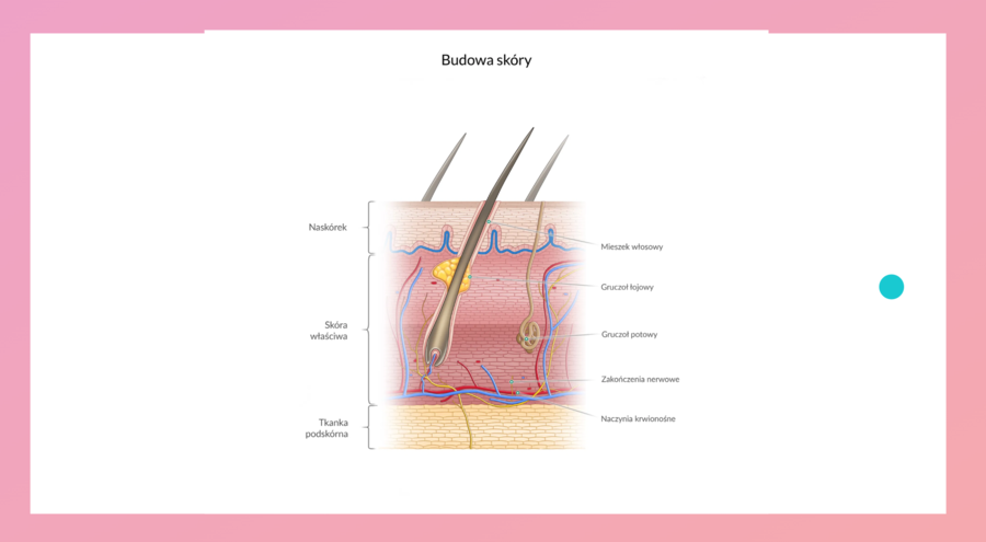 KLASA 3 rozszerzenie - PAKIET NA CAŁY ROK