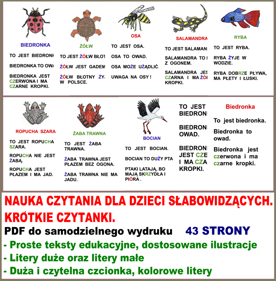 NAUKA CZYTANIA DLA DZIECI SŁABOWIDZĄCYCH. KRÓTKIE CZYTANKI.